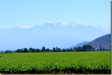 DSC_0176 - View Andes and Wine Yards 03.11.2012 16-11-33