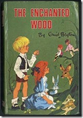 The enchanted wood The enchanted wood