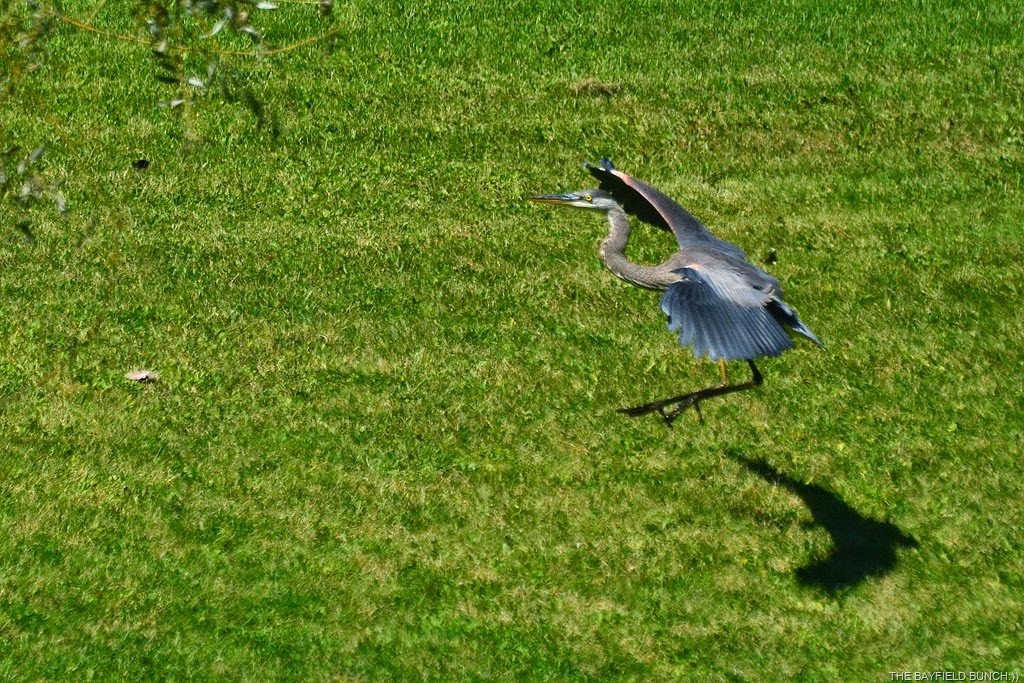 [DSC_0015-003%255B5%255D.jpg]