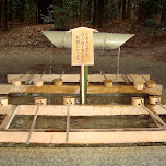 water source in Yoyogi, Japan 