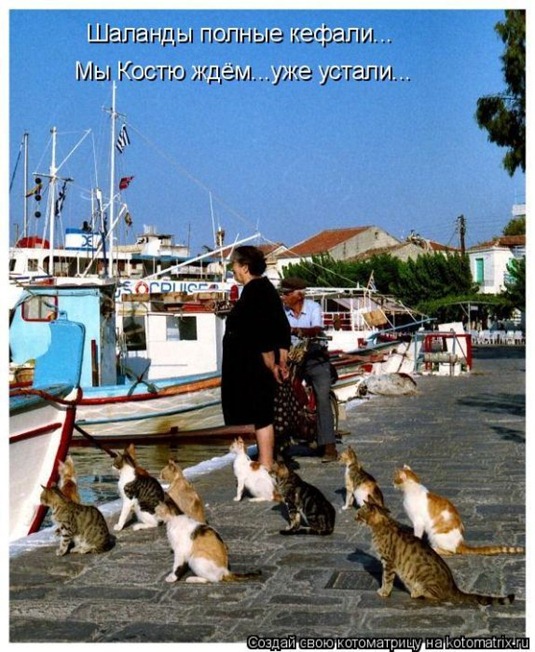 [clip_image032%255B3%255D.jpg]