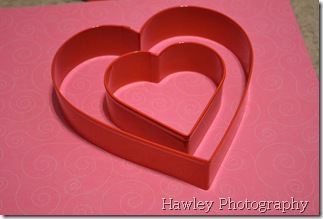 DSC_0239 DSC_0239