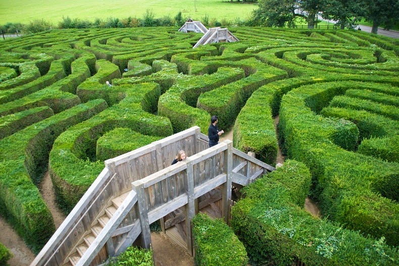 longleat-hedge-maze-3