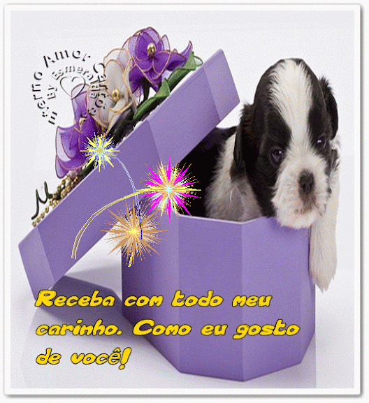 n12.gif