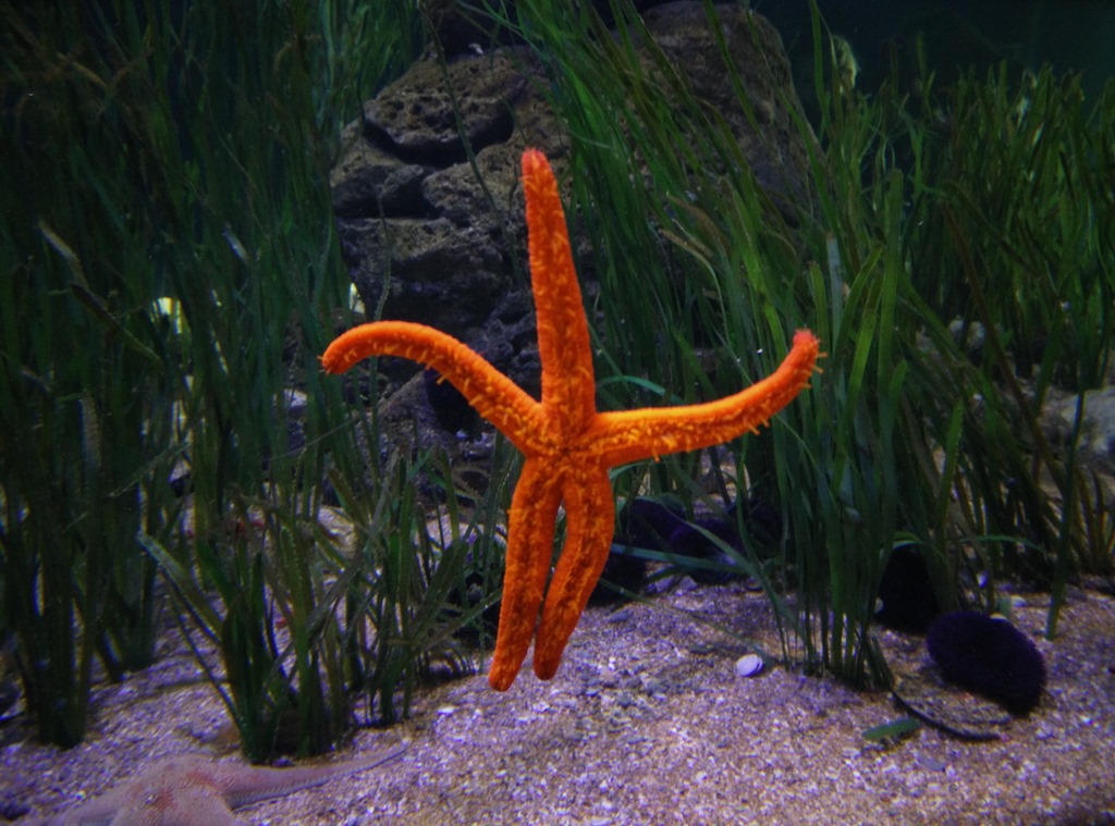 [IMG_20150219_132905%255B4%255D.jpg]