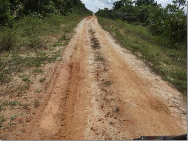 BR-319_Humaita_Manaus_Day_2_DSC05408 BR-319_Humaita_Manaus_Day_2_DSC05408