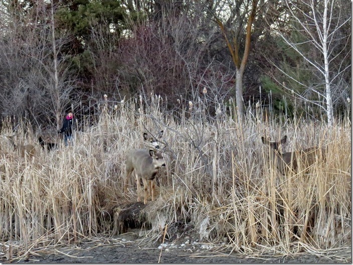 IMG_2277 IMG_2277