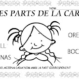 EL COS PROJECTE (15).JPG