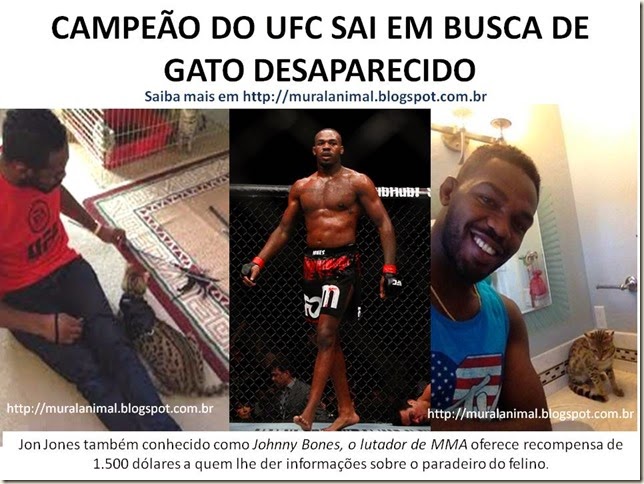CAMPEÃO DO UFC SAI EM BUSCA DE GATO