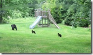 family o bears at the playground