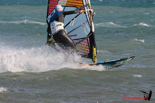20150104_La franqui064.JPG