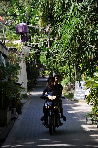 DSC_0234.JPG