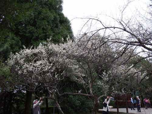角板山-170