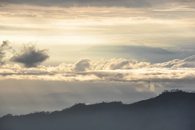 DSC_0479.jpg