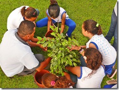 Estudantes realizam plantio de mudas na chegada da primavera 