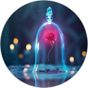 Image Google de Lolotte 95