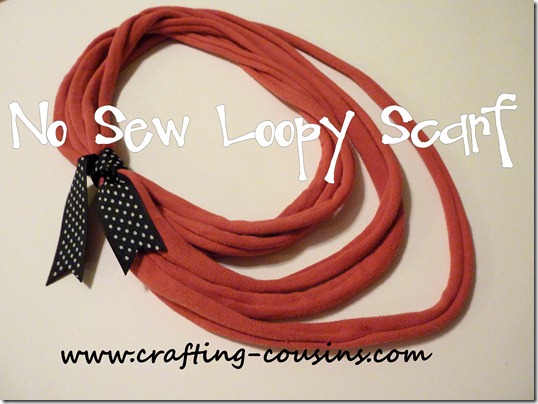 No sew loopy scarf by the Crafty Cousins