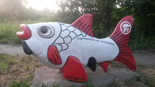 Engineering for our Environment - Fish