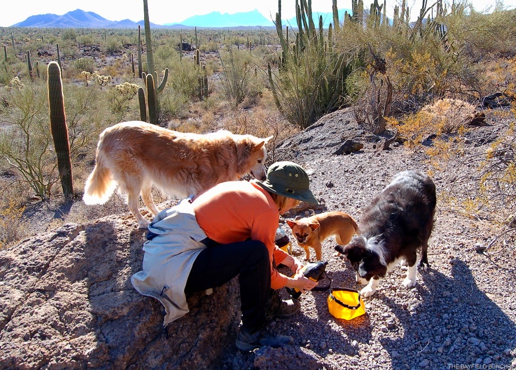 [DSC_0013-11%255B4%255D.jpg]