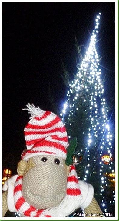 2012 Bilbrook Christmas Tree