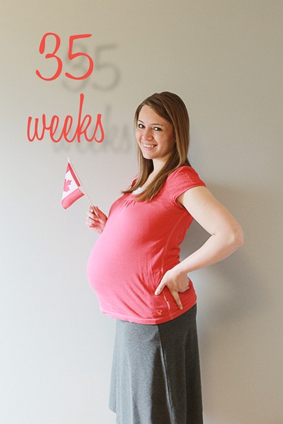 20120701 thirty-five weeks pregnant (24) edit