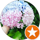 Image Google de Aurelie Daugeron