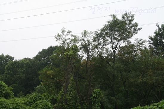 [IMG_2212-20110722-1710523.jpg]
