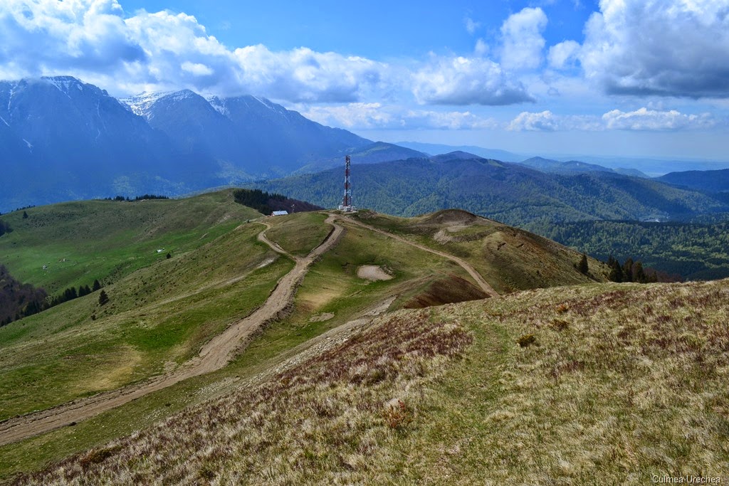 [DSC_00642.jpg]