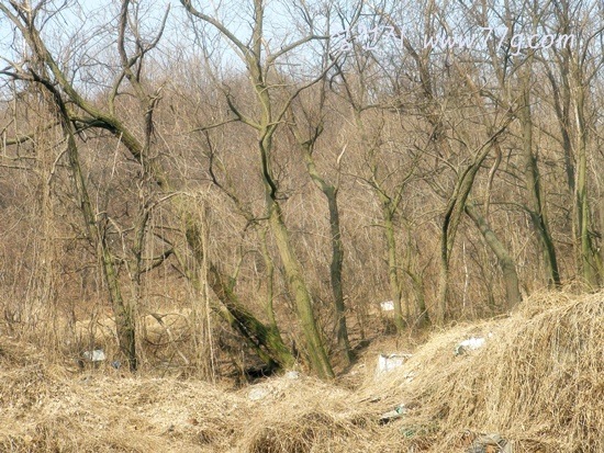 [DSC04956-20120329-0853553.jpg]