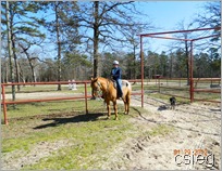 Adventures of Shadow The RVing Dog: Horseback Riding at the Double S Ranch