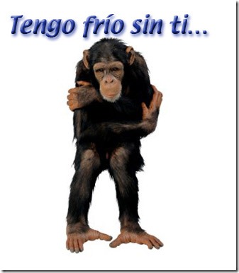 amor imposible (14) amor imposible (14)