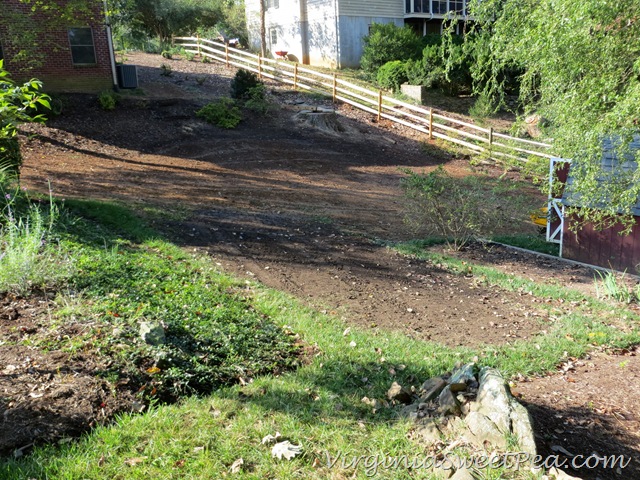 [Back%255B3%255D.jpg]