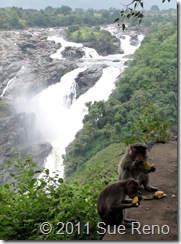 SueReno_Shivanasamudra Falls 11