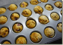 fudge muffins4
