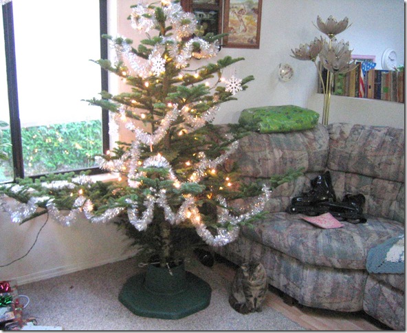 Christmas-tree-11-05