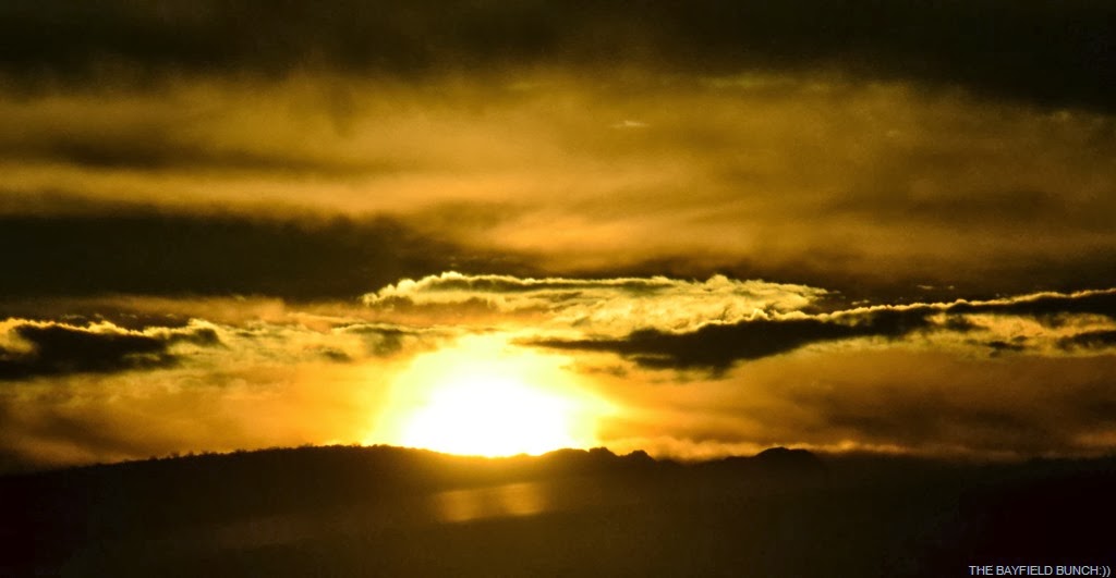 [DSC_0004%255B4%255D.jpg]