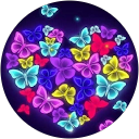 Image Google de Lucile Barbey