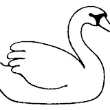 cygne1.jpg