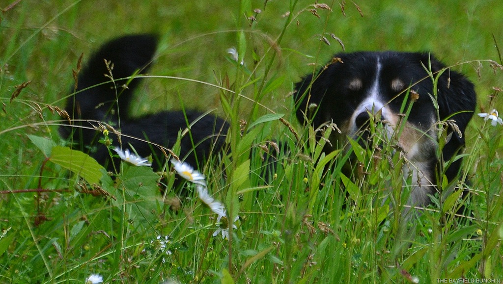 [DSC_0005%255B4%255D.jpg]