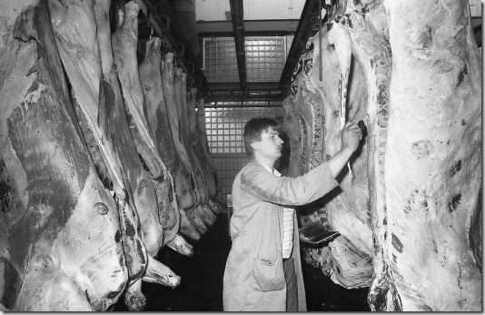 CHERNOBYL EFFECTS VEGET MEAT CONTROL IN GERMANY
