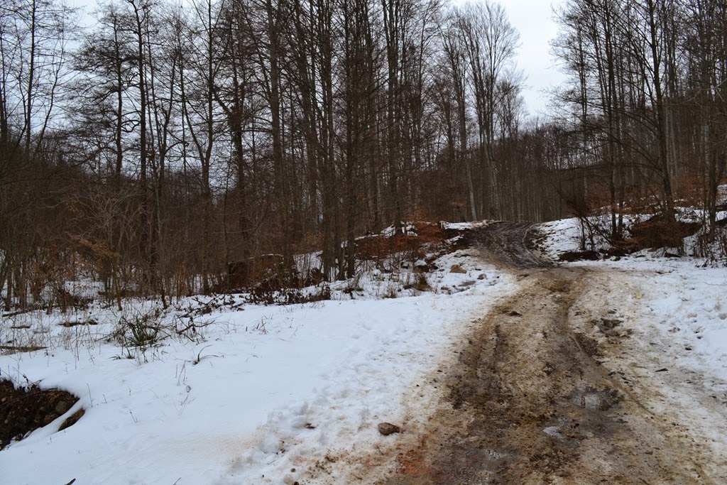 [DSC_23533.jpg]