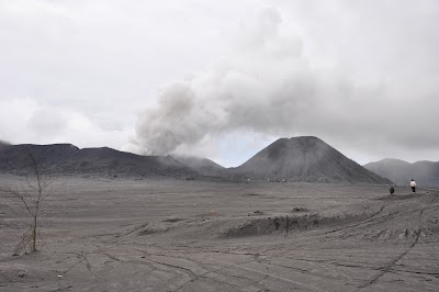 DSC_0661.jpg