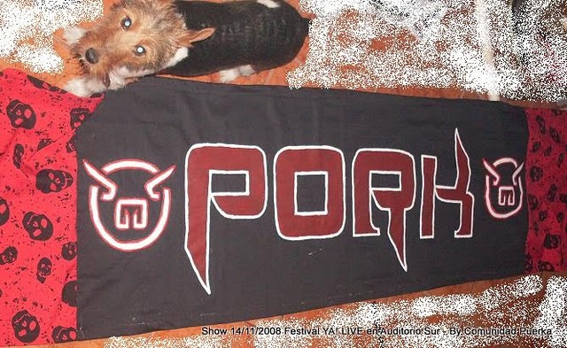 [Festival%2520YA%2521%2520LIVE%252014-11-08%255B3%255D.jpg]