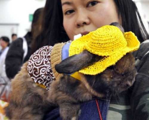 [rabbit-fashion-Seoul-2010%255B4%255D.jpg]