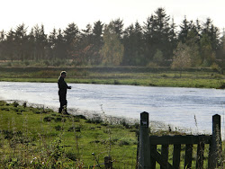 Skjern Au _ Oktober 2012 - 075