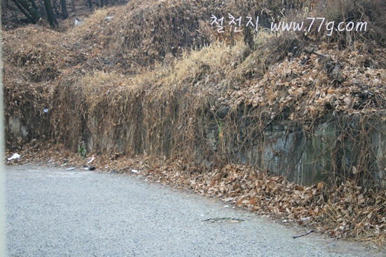[IMG_5559-20111128-1817413.jpg]