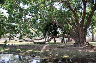DSC_0721.JPG