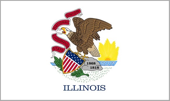 FLAG-Illinois