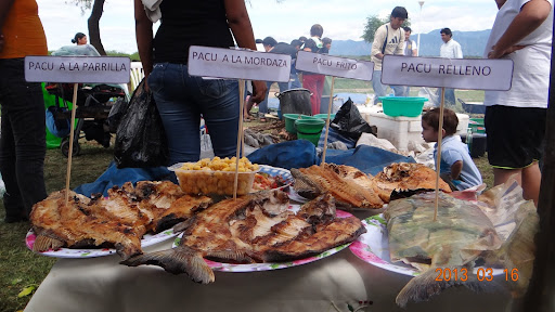 Gua Para La Produccion Intensiva De Forraje Verde Hidroponico