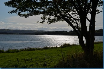 DSC_0154 DSC_0154